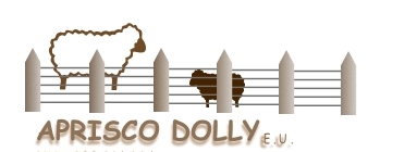  APRISCO DOLLY 